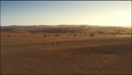 Earth Moods - Season 01 Episode 04